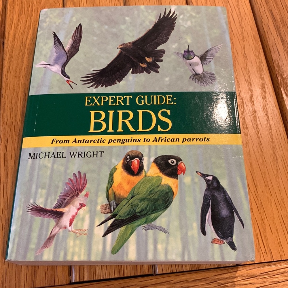Bird Guide Book